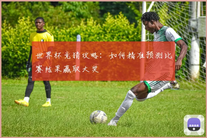 世界杯竞猜攻略：如何精准预测比赛结果赢取大奖