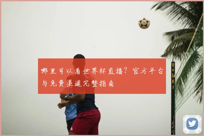 哪里可以看世界杯直播？官方平台与免费渠道完整指南