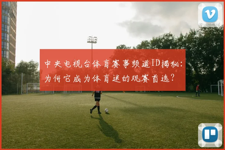 中央电视台体育赛事频道ID揭秘：为何它成为体育迷的观赛首选？